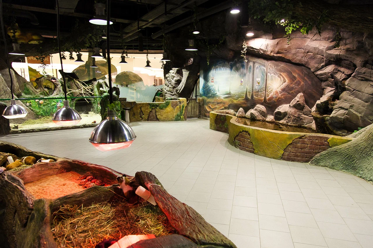 Белый Кенгуру