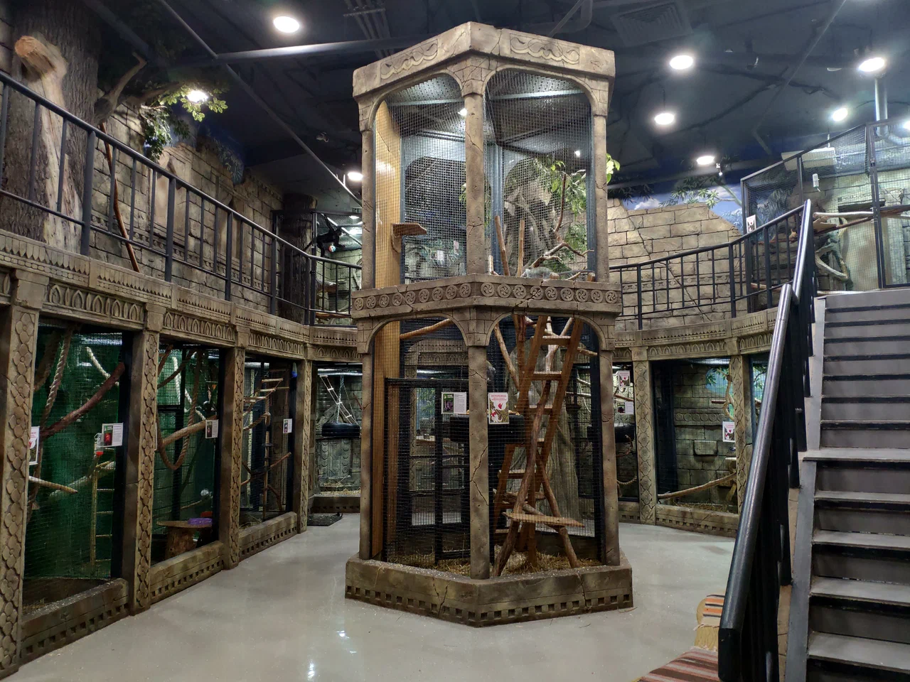 Белый Кенгуру