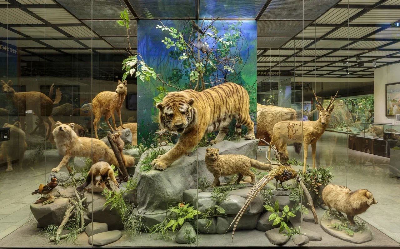 Дарвиновский музей