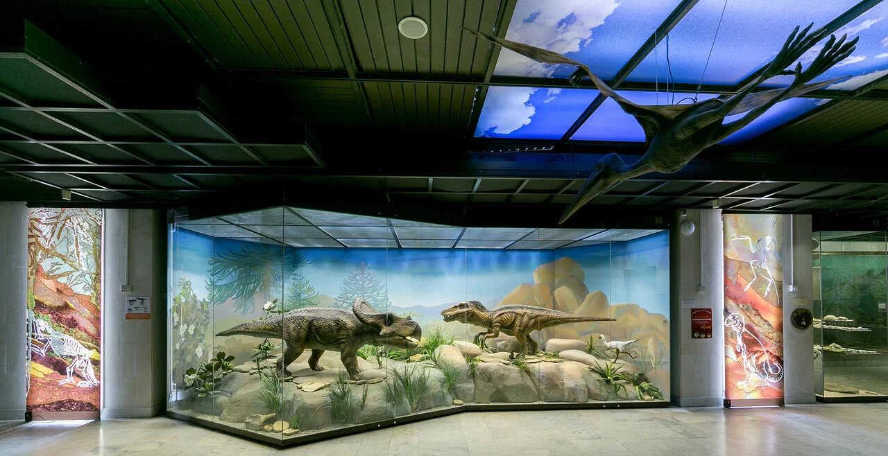 Дарвиновский музей