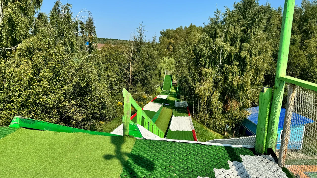 Лабиринт Дикие белки