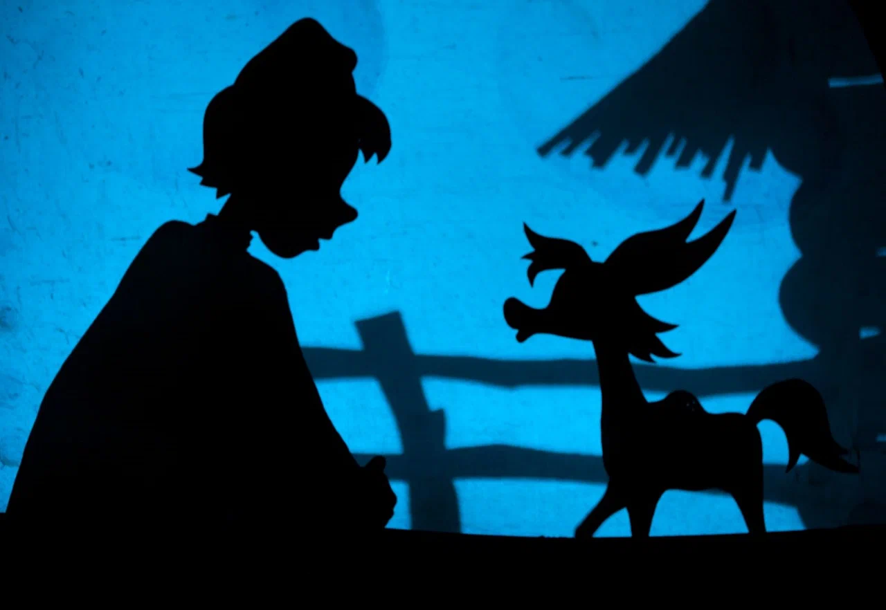 Московский детский театр теней