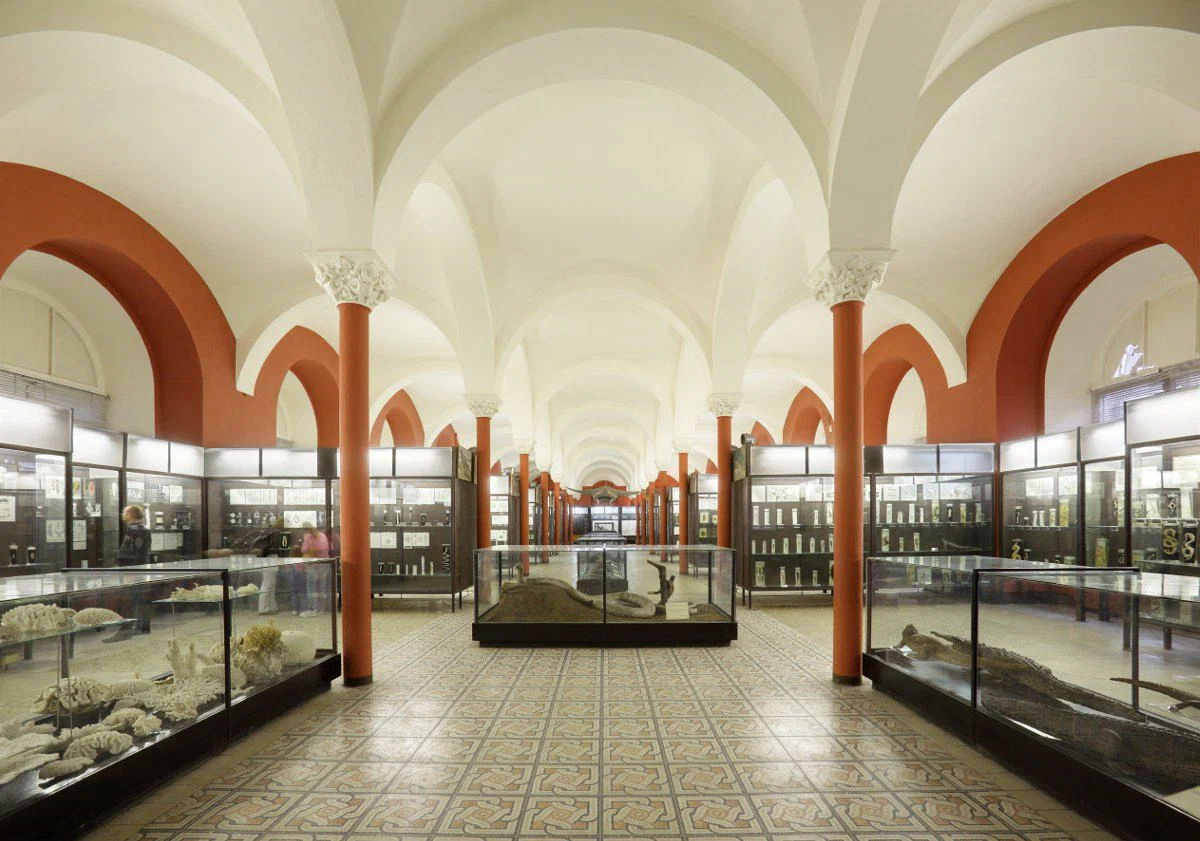 Зоологический музей МГУ