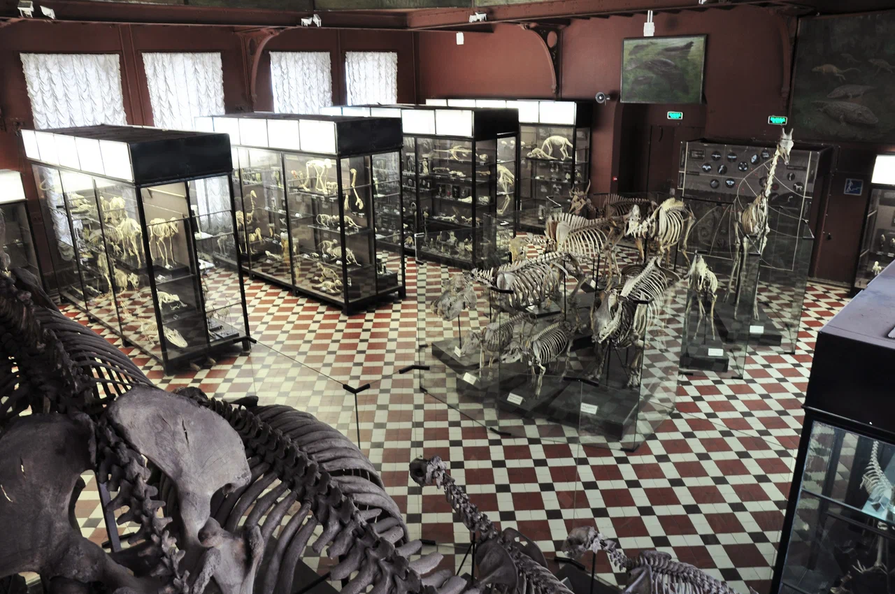 Зоологический музей МГУ