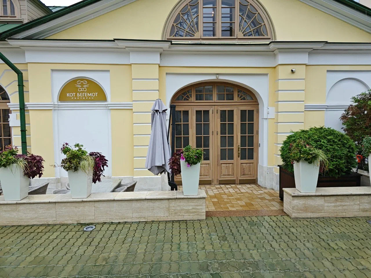 Кот Бегемот