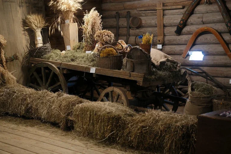 Музей крестьянского быта