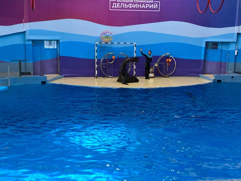 Большой Сочинский дельфинарий