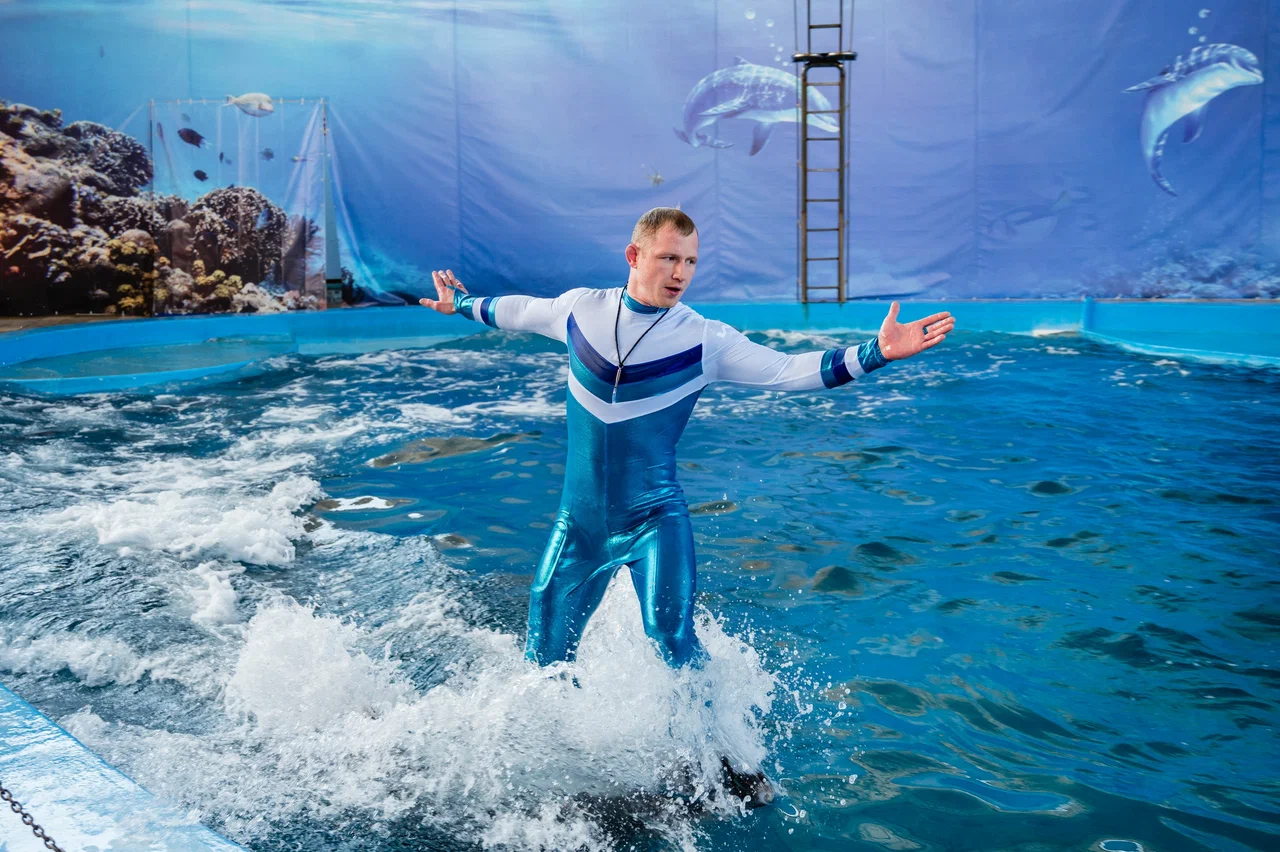 Морская Звезда