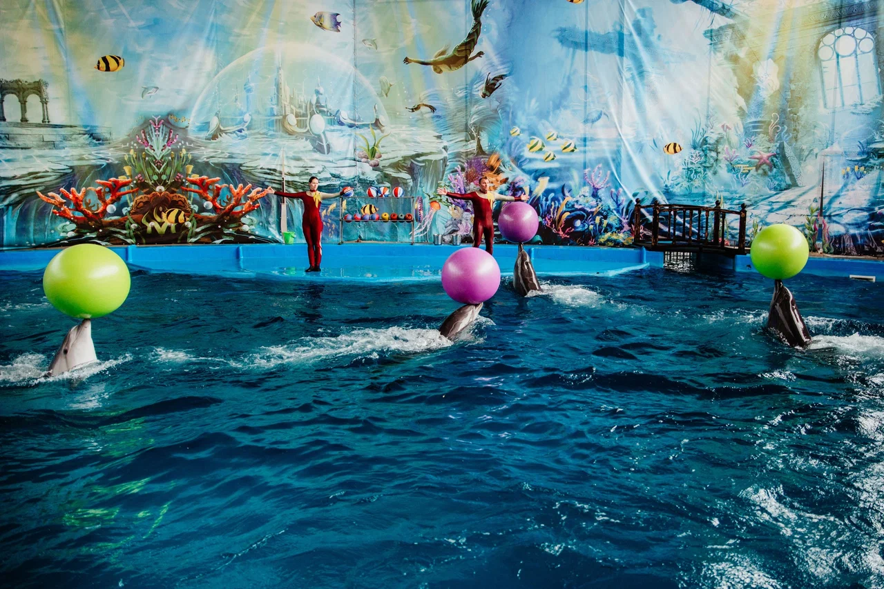 Морская Звезда