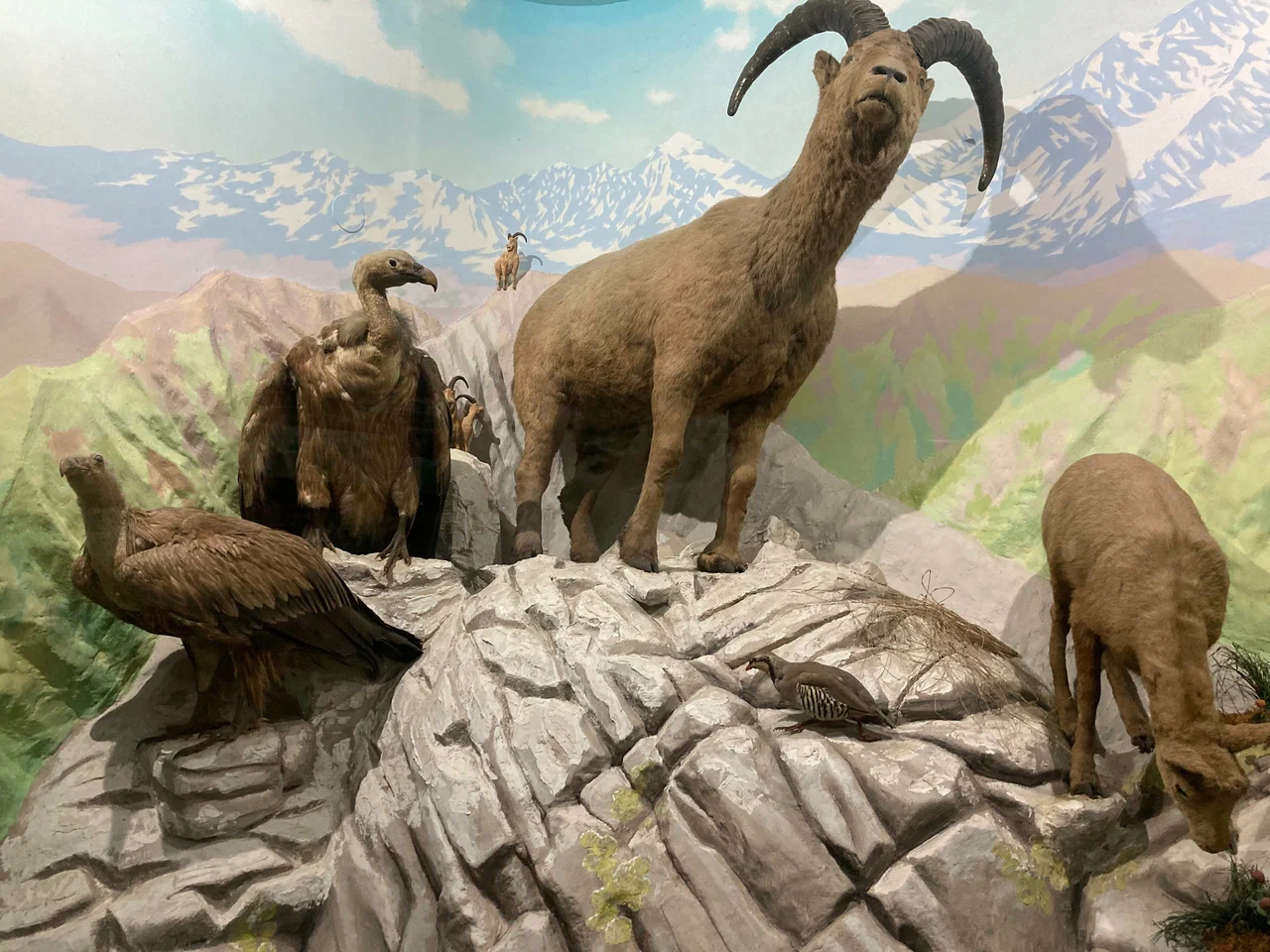 Музей истории города-курорта Сочи