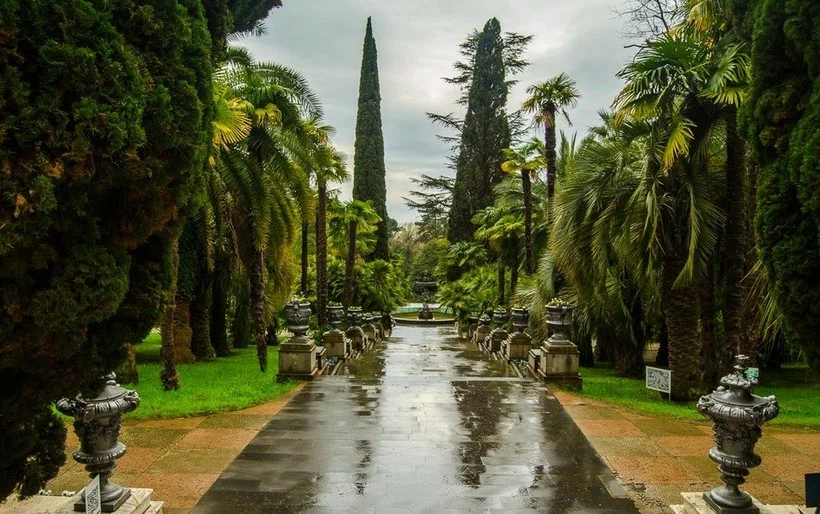 Сочинский национальный парк - Дендрарий