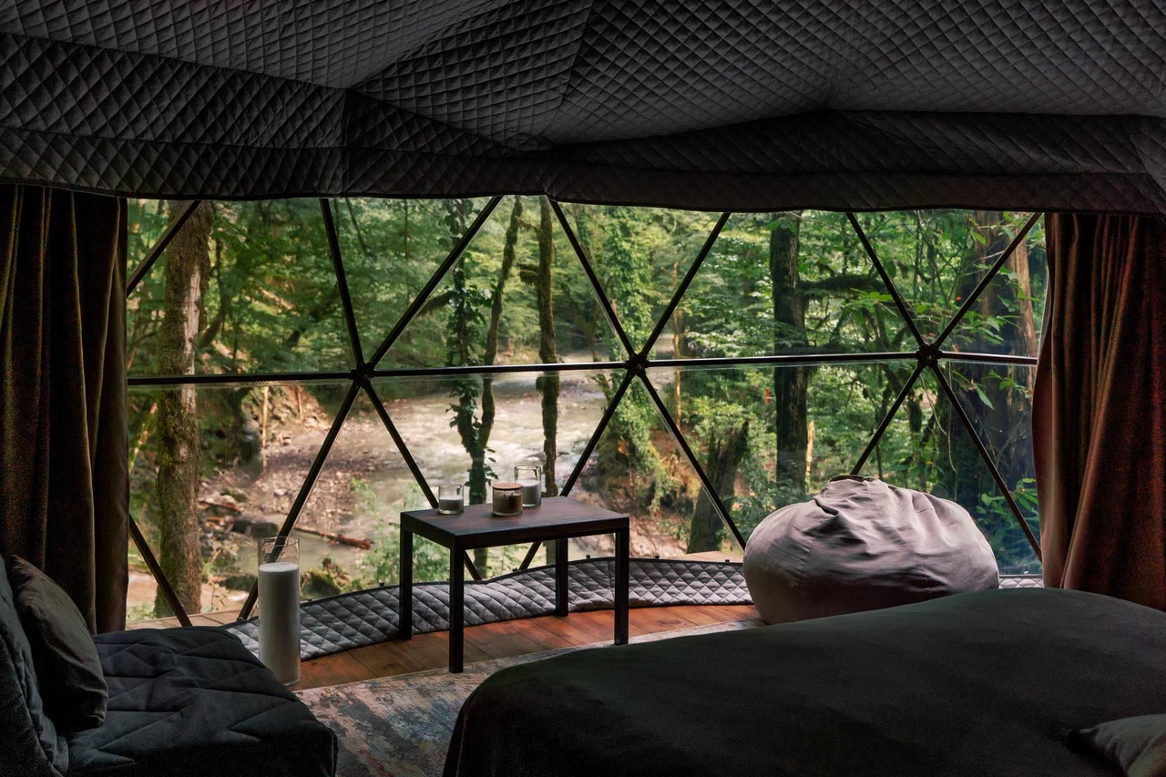 Вили Улей Сочи