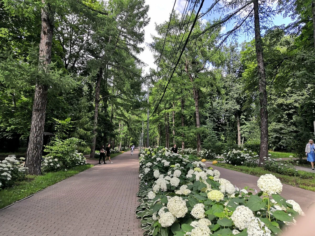 Патриаршие пруды