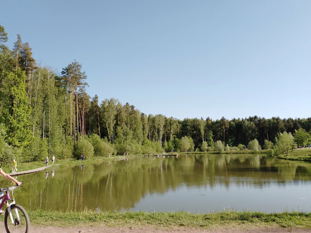 Кусковский лесопарк