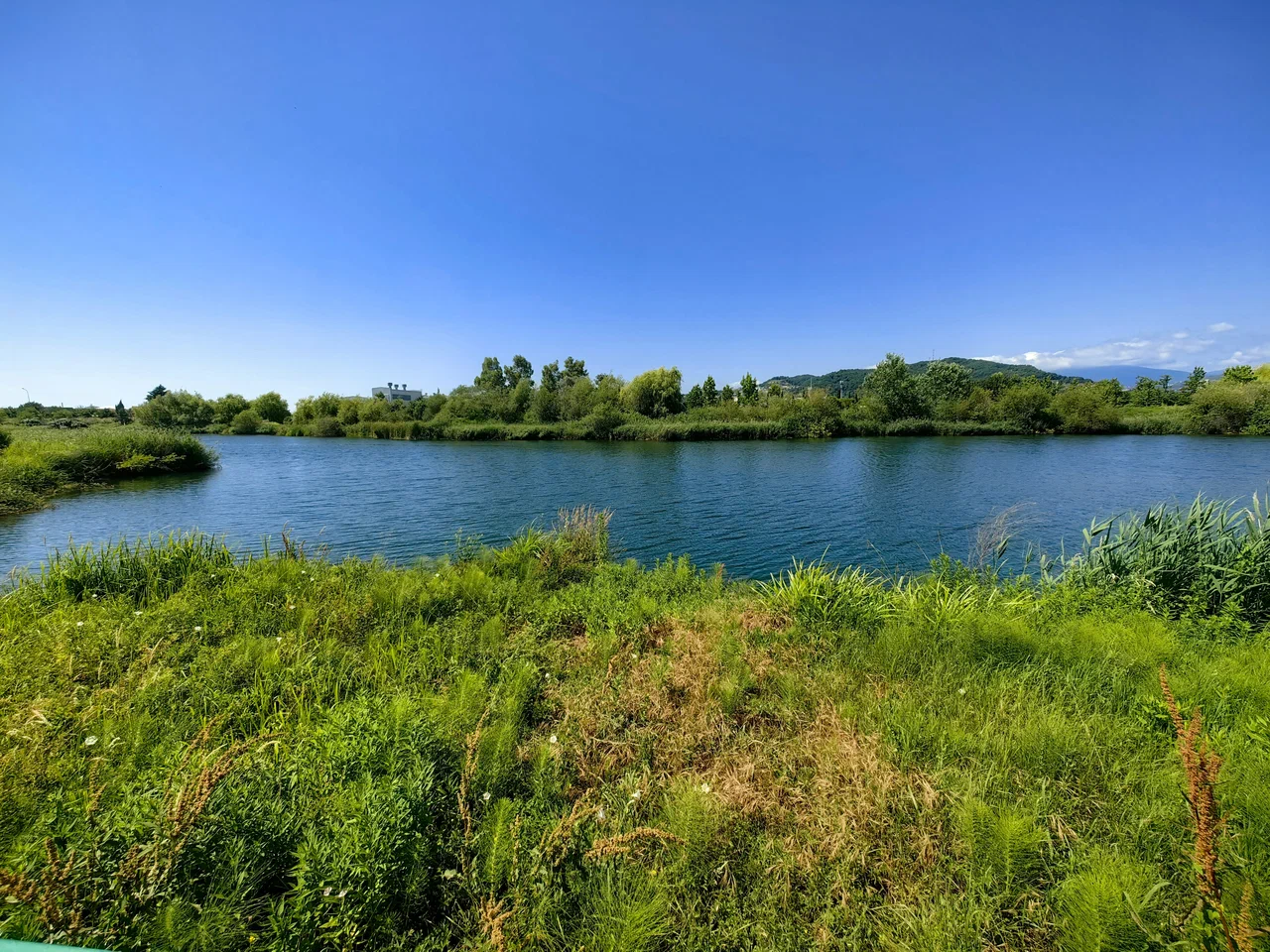 Природный орнитологический парк в Имеретинской низменности