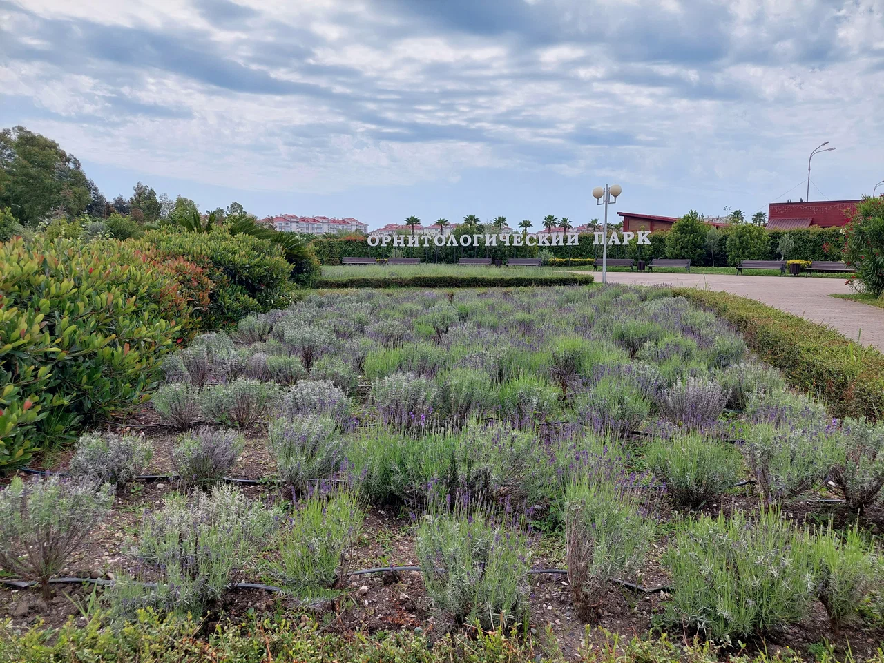 Природный орнитологический парк в Имеретинской низменности