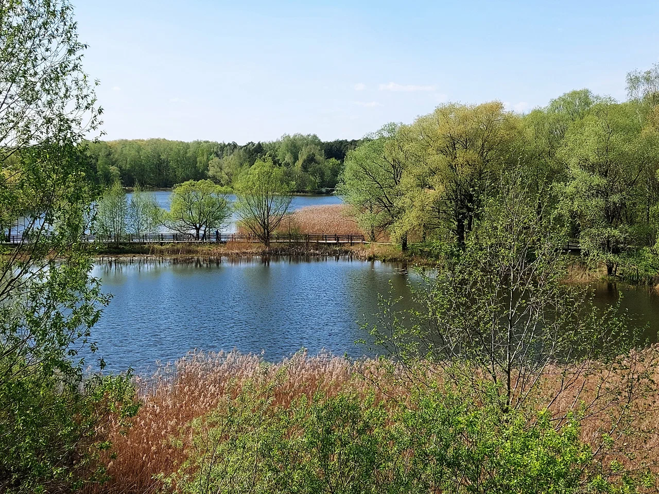 Экологическая тропа 