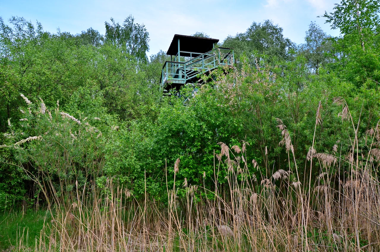Экологическая тропа 