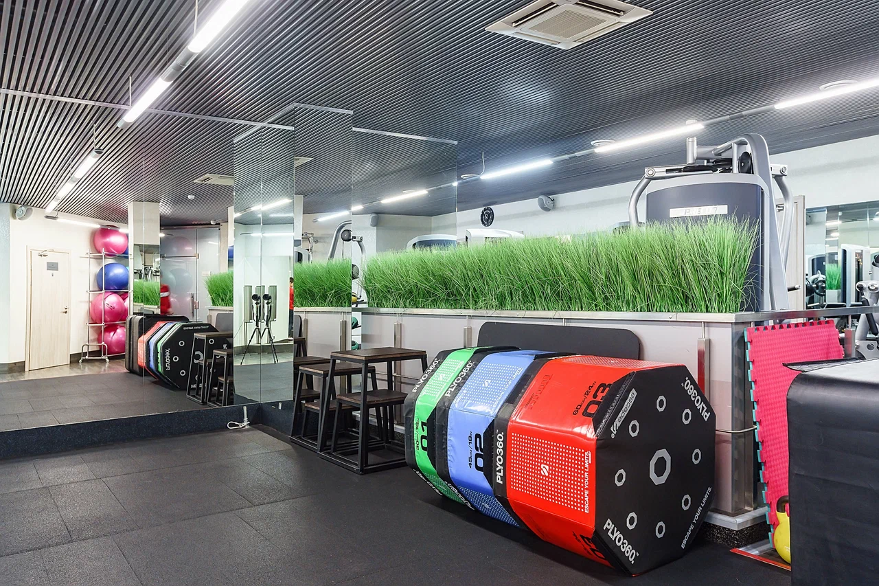 Parus Парадный