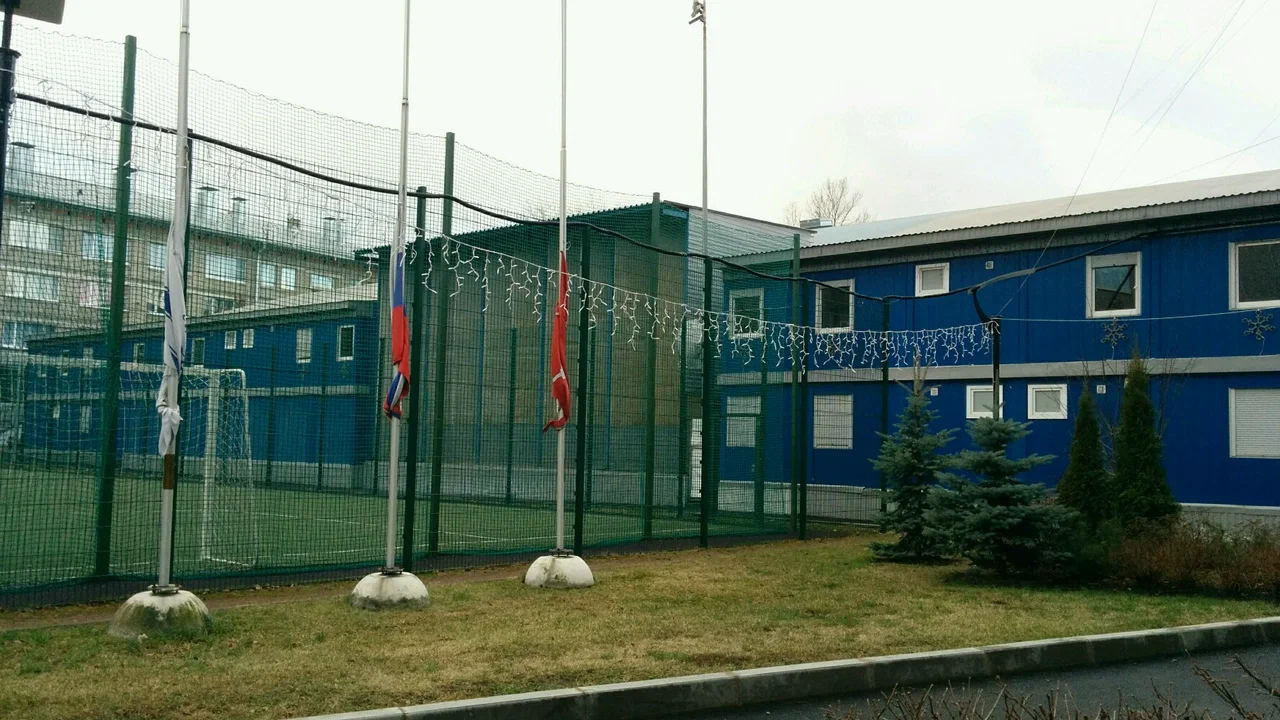 Академия ледовых видов спорта Динамо Санкт-Петербург