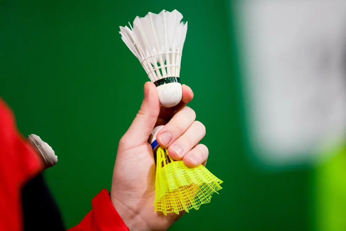 Бадминтонный клуб Дяди Димы