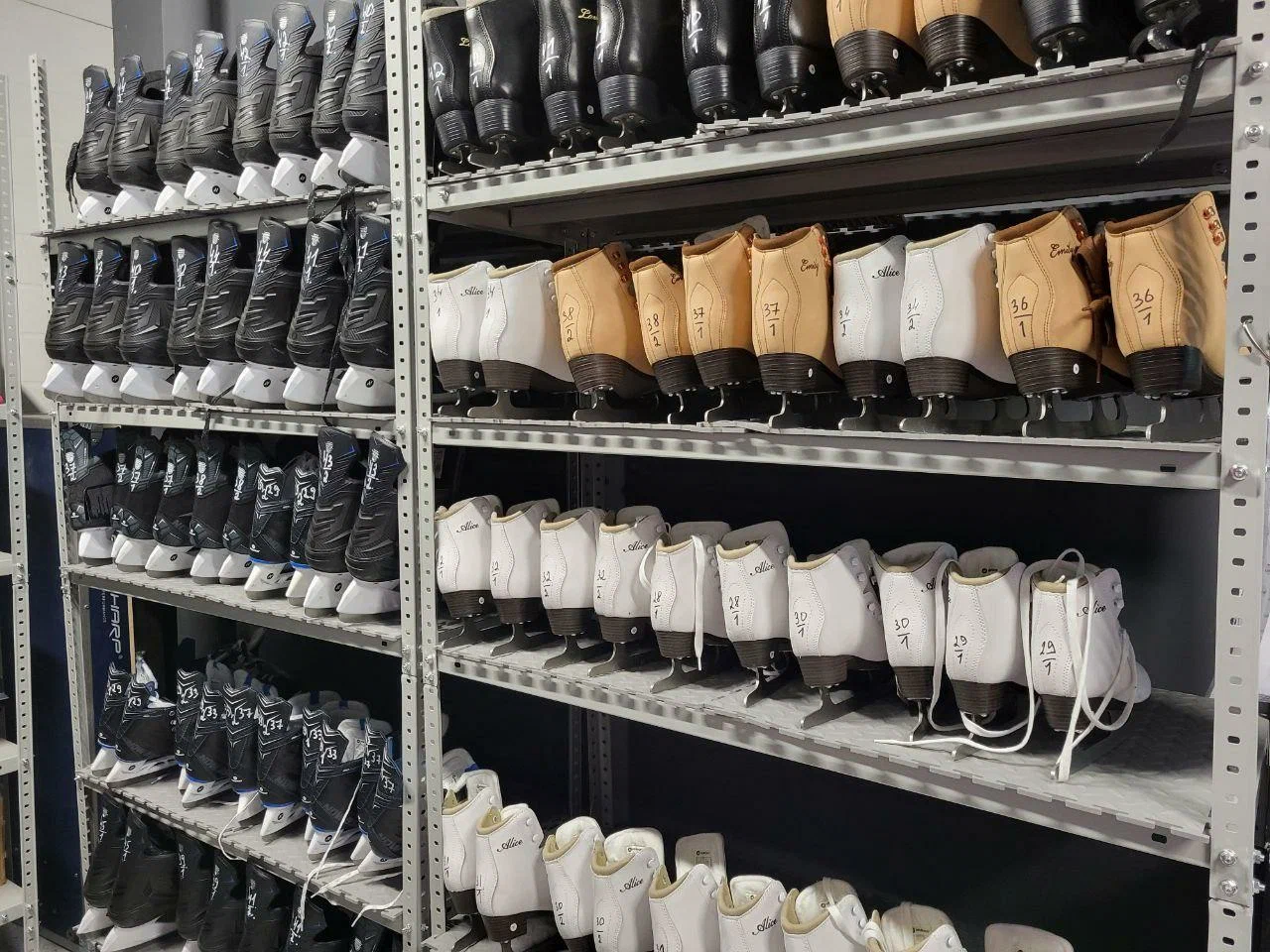 Ледовая арена 