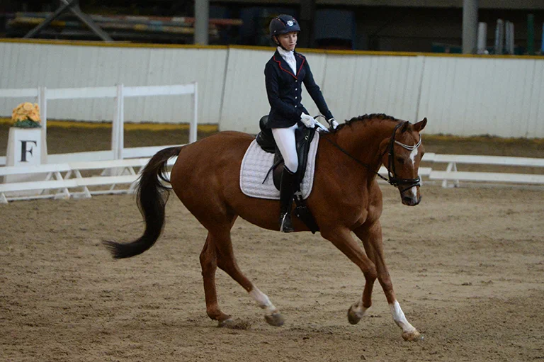 Эквилан Спорт