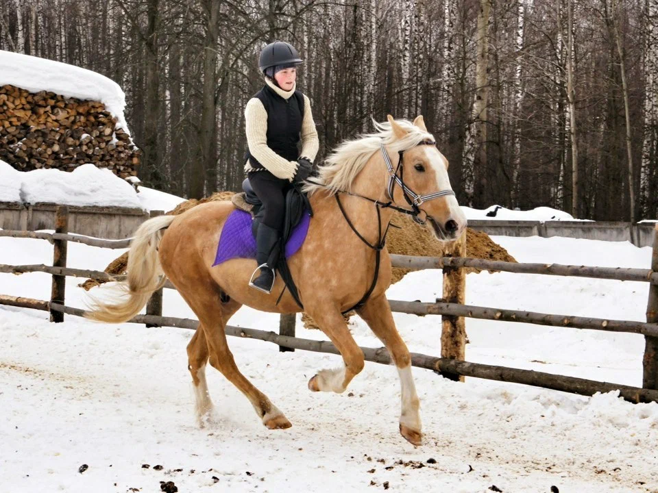 Соловьиная роща