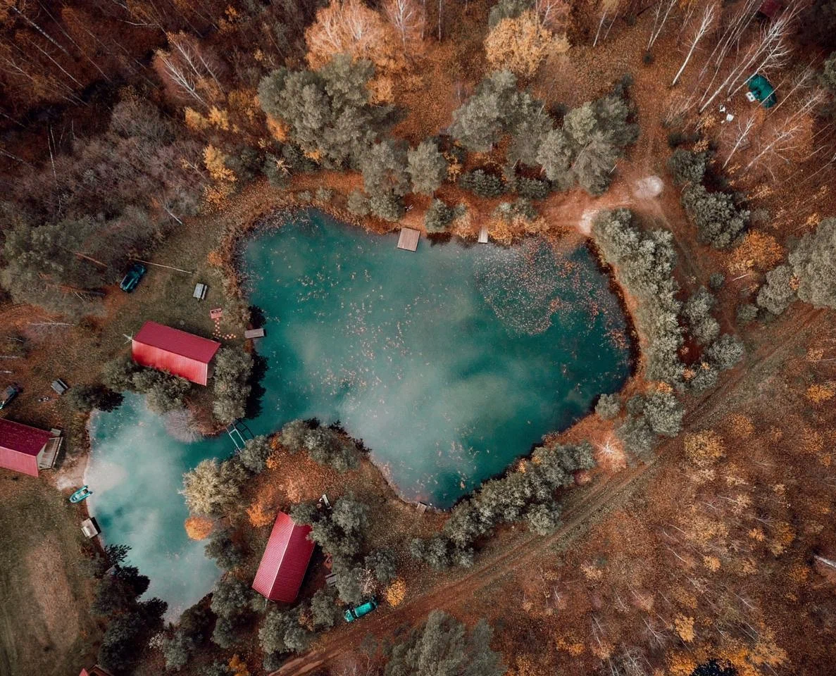 Березовый мостик