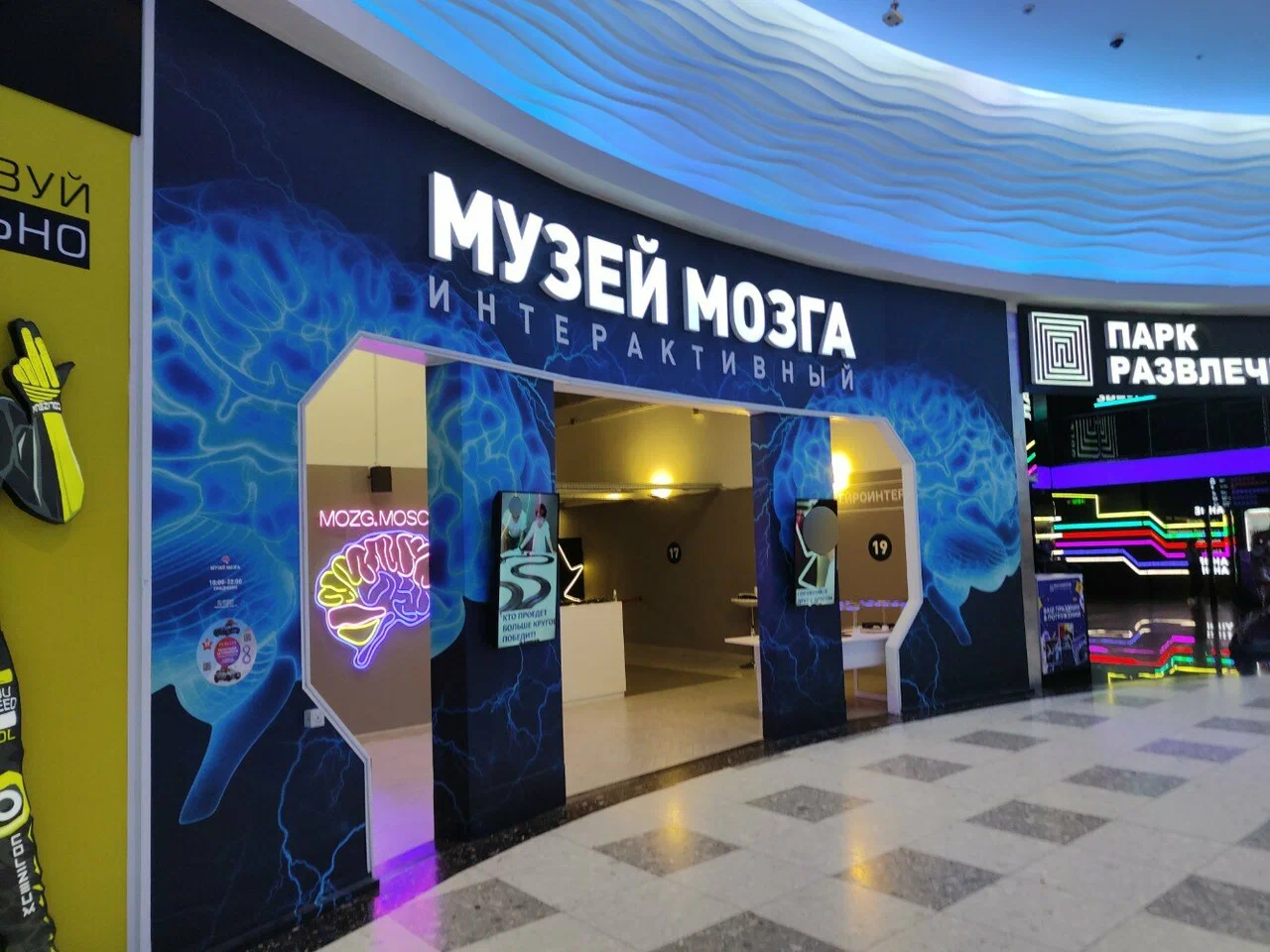 Музей Мозга