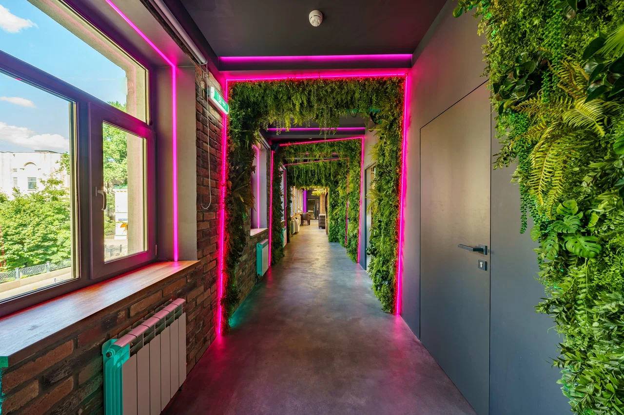 Мятный Енот