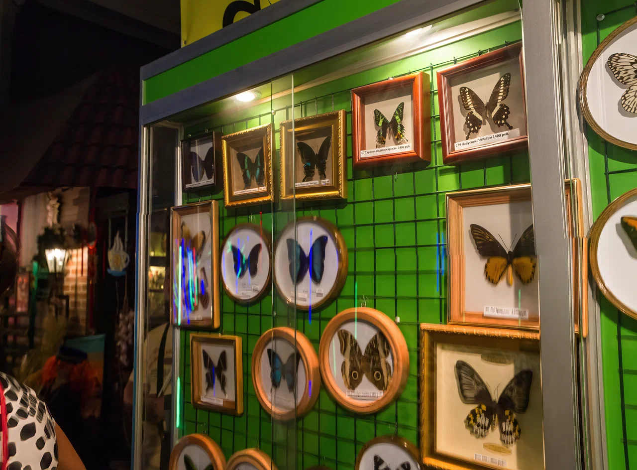 Дом бабочек, Муравьёв и Рептилий