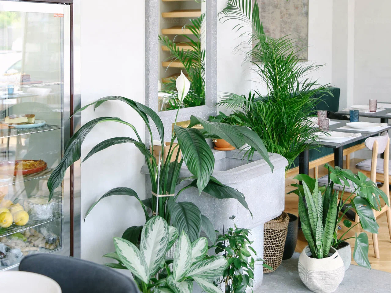 Остерия Amici